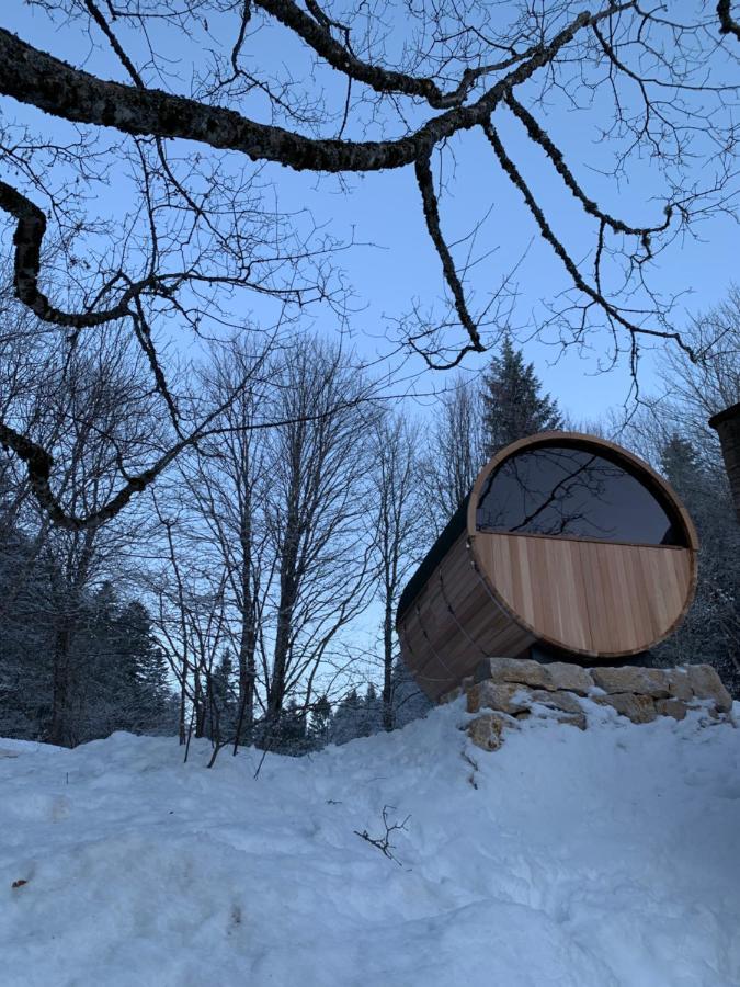 Chalet Ott - Apartment In The Mountains With Sauna Сен-Серг Екстериор снимка