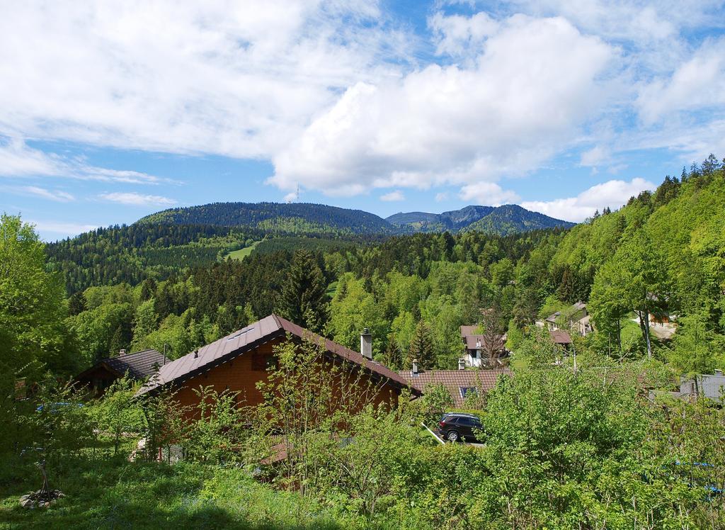 Chalet Ott - Apartment In The Mountains With Sauna Сен-Серг Стая снимка