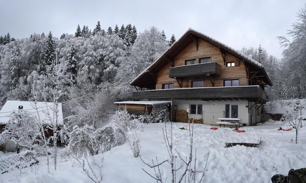 Chalet Ott - Apartment In The Mountains With Sauna Сен-Серг Стая снимка